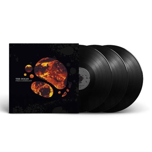 The Ocean - Precambrian